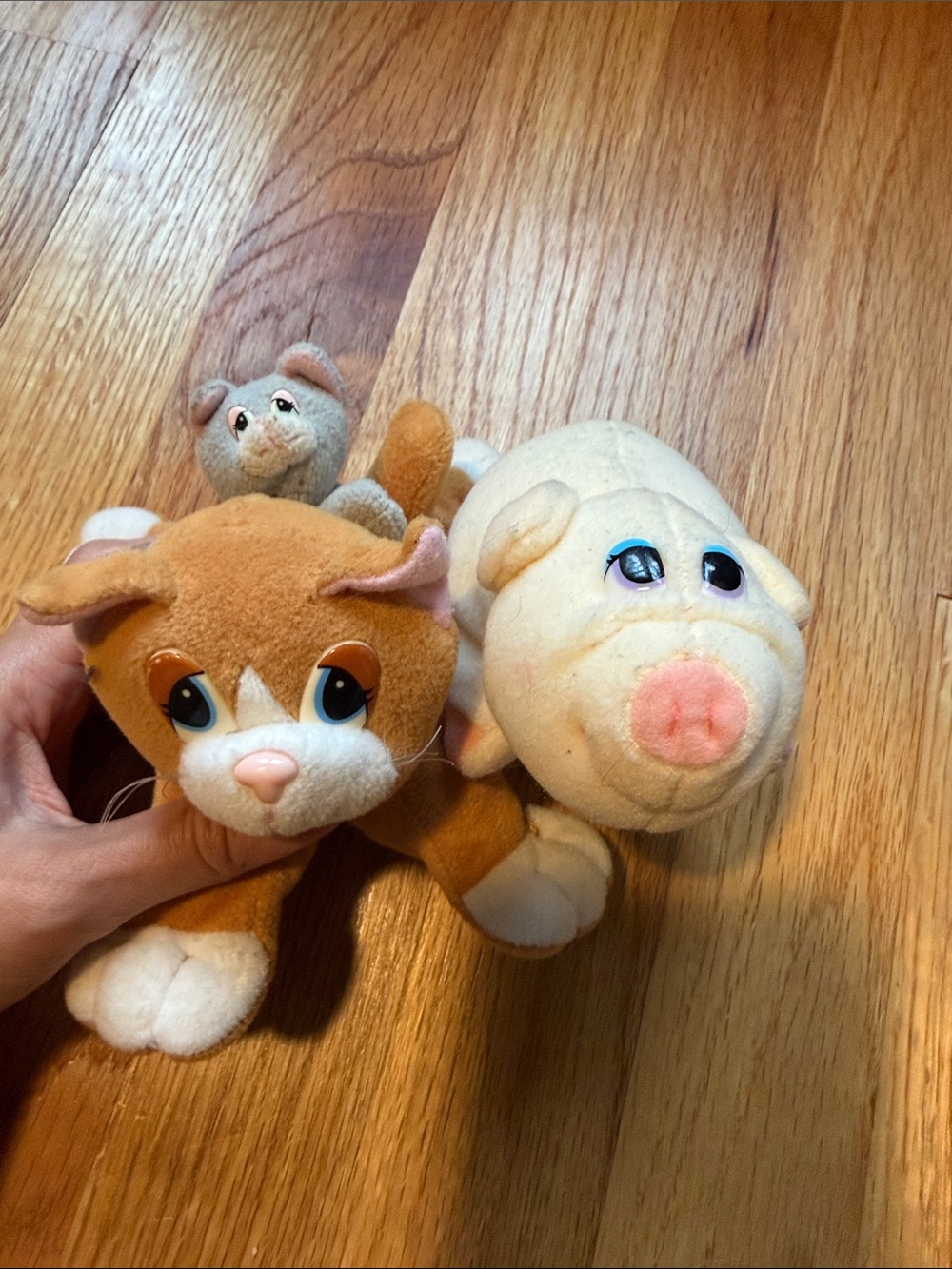 Pound Puppies - pig, mini cat, big cat bundle